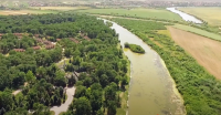 Jakovački Ključ Oak Forest